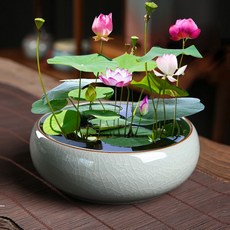 도자기수반 베란다 옹기 항아리 화분 다용도 원형 연못, 세라믹, 게야오 핑크 그린