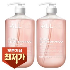 올니즈 더마 리페어 약산성 두피각질케어 샴푸 화이트머스크향, 2개, 1080ml 2개, 1080ml
