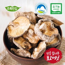 숙주200g