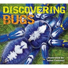 (영문도서) Discovering Bugs Hardcover, Applesauce Press, English, 9781604336894