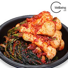 웰빙리 가성비 총각김치 알타리 무 김치, 1개, 5kg
