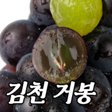 강화도포도농장체험