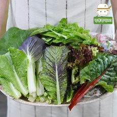 양평쌈채소