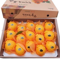 프리미엄 제주 한라봉 3kg 5kg 선물용 가정용 제주도 한라봉 명절 선물세트 산지직송, 1. 가정용 한라봉 3kg