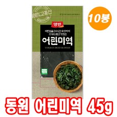 어린미역