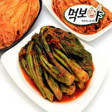 먹보야파김치