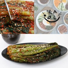 미순이네 여수 돌산 갓김치 1kg/산지직송