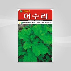 어수리잎생것영양성분