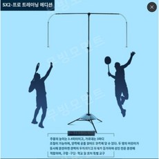 배드민턴 스윙 트레이닝 훈련기 셀프스윙마스터 연습 볼, D.전문교육버전SX2(가격문의)