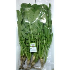 열무 400g 10개
