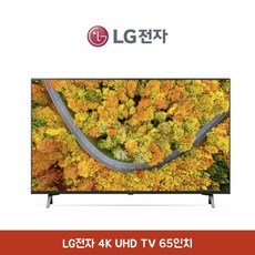 LG전자 65인치 4K UHD TV AI ThinQ 에너지효율 1등급, 벽걸이
