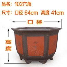4a5580cf12ea11aaca3eb9e5dacd8225f77f01862877f86d328d26233ff5.jpg