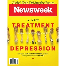 newsweek(usa)