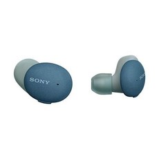 SONY 소니 무선 이어폰 WFH800 8시간 연속 재생 소형 경량 연결 안정성 앱 마이크 360 Reality Audio 블루 LM 블루투스 방수 데일리, 블루/XL_단품, 파란색