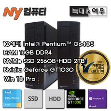 엔와이컴퓨터 10TH HC-N6405S-S2MRG3+10PRO+주변기기(G6405/16GB/SSD256GB+2TB/GT1030/WIN10PRO) - g6405