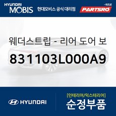 리어 도어 바디 사이드 웨더스트립(뱀띠고무) 좌측 (831103L000A9) 현대모비스 부품몰 그랜저TG