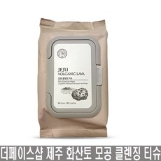 립앤아이티슈