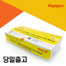 코로나-19 항원 자가 검사(비강) 코로나 자가진단 검사키트 래피젠 2개입 x 5박스 (10회분), 1세트