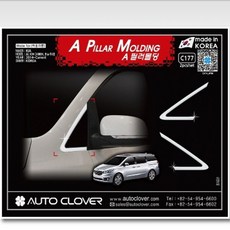 카니발티비브라켓