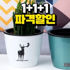 파파닷컴 1+1+1 플라스틱 물구멍없는 분갈이화분 인테리어 프라스틱 예쁜미니화분통, 화이트(사슴)3개세트