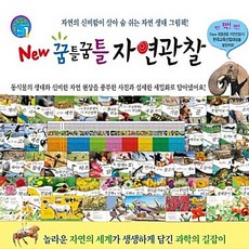 [한국톨스토이]꿈틀꿈틀 자연관찰 전84권, 한국톨스토이, 한국톨스토이 편집부