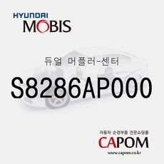 팰리세이드듀얼머플러