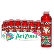 AriZona 워터멜론 주스 음료 599.8ml(20액량 온스) (24개 팩), 24개, 600ml