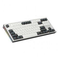 COX 이색사출 사이드 RGB 기계식 키보드 갈축, CK01PBT, 그레이 + 화이트, 일반형
