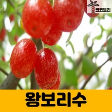 6b29576be73d8dd5af20bcc5f0e24d67e4ffbe4b69f70ce38865c05f11f8.jpg