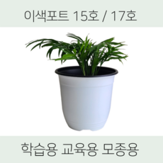 bc1ffba8a73b456811bf4f59b6991adba7c56aba136c5b3aafc54addf3cd.png
