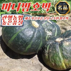 제주 농부 미니밤호박 1kg (2-5개)