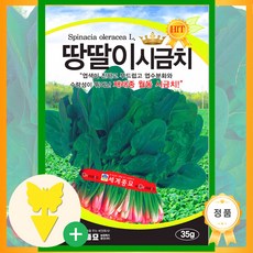 [농대나온남자] 땅딸이 시금치 씨앗 35g + 나비끈끈이트랩