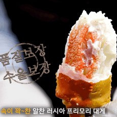 프리미엄 러시아대게 마가단 수율보장 최상급 대게 3kg 2-3마리 동해직송, 1개, 3kg(2~3마리)