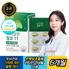 뇌에좋은 두뇌건강 브레인 메모리 프리미엄 징코 진코 플러스 기억력 혈행개선, 6개, 30정