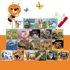 한국차일드아카데미 꼬마동물농장+권장도서3권