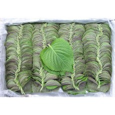 믿을 수 있는 우리 농산물 깻잎 특 1Kg 2박스 이강산닷컴, 2개
