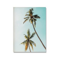 캘리포니아비치할인