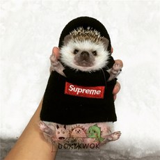 2f462fb50459e0539d909f5ad0f26623b3dd65c702a0a133bbedf72b0f83.jpg