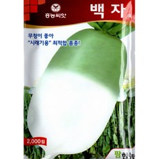 대농며느리반찬