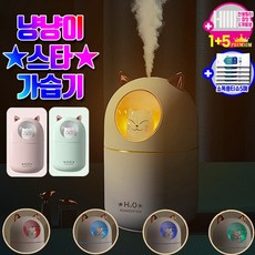냥냥이가습기