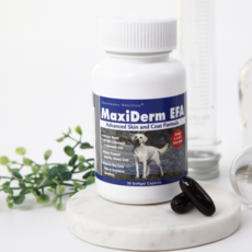 오메가덤소프트270