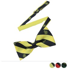 남자어린이보타이