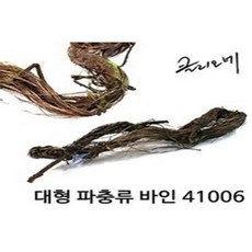 가지유목 TOP01