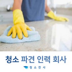 병원청소이모상담 병원청소이모업체 병원청소이모의뢰 병원청소이모문의 병원청소이모견적 병원청소이모후기, 1개