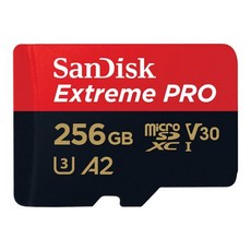 샌디스크익스트림프로256g