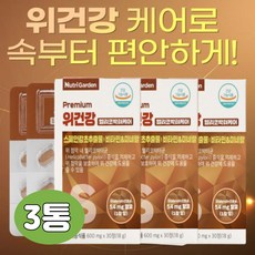 식약처인증 하루한알 속 위 에좋은 편한 불편 속쓰림 식욕감퇴 복부팽만감 헬리코박터균 활력 위점막 보호 영양제 스페인 감초 추출물 셀렌 판토텐산 아연 곡류 효소 무기질 아미노산, 6개
