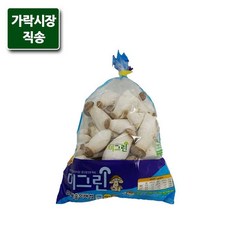 총알버섯