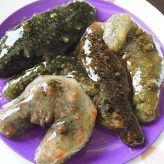 내고향푸드 국내산 해녀가 잡은 자연산 제철활해삼 1kg 자연산해삼 해삼 여수해삼