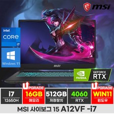 MSI 사이보그 15 A12VF i7-12650H RTX4060 게이밍노트북, A12VF-i7, WIN11 Home, 16GB, 512GB, 블랙