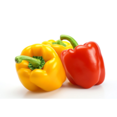 못난이 파프리카 피망 빨강 노랑 파프리카 2kg 5kg 산지직송, 혼합 5kg, 1개